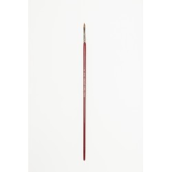 VINCENT KATTENTONG ROODMARTER NR.4