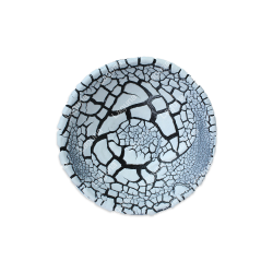 LAGUNA DRY LAKE FOSSIL WHITE